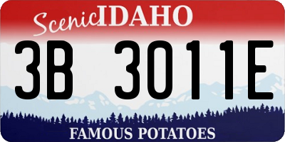 ID license plate 3B3011E