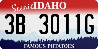 ID license plate 3B3011G