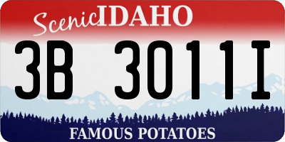 ID license plate 3B3011I