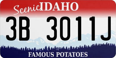 ID license plate 3B3011J