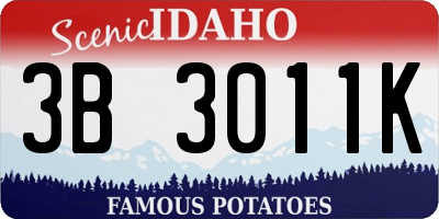 ID license plate 3B3011K