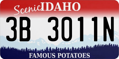 ID license plate 3B3011N