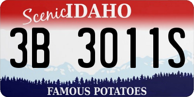 ID license plate 3B3011S