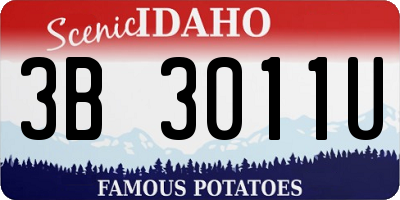 ID license plate 3B3011U
