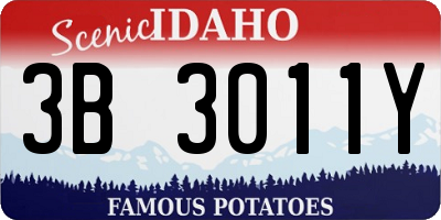 ID license plate 3B3011Y