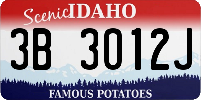 ID license plate 3B3012J