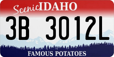 ID license plate 3B3012L