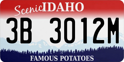 ID license plate 3B3012M