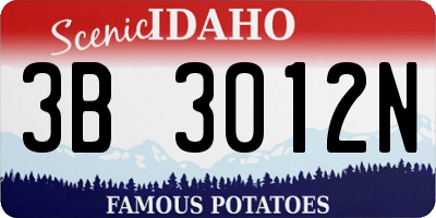 ID license plate 3B3012N