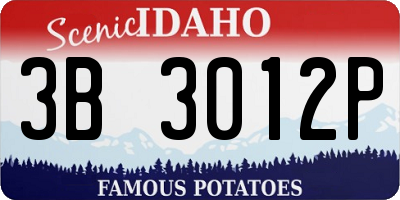 ID license plate 3B3012P