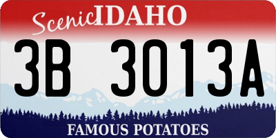 ID license plate 3B3013A
