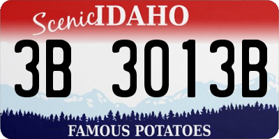 ID license plate 3B3013B