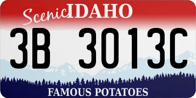 ID license plate 3B3013C