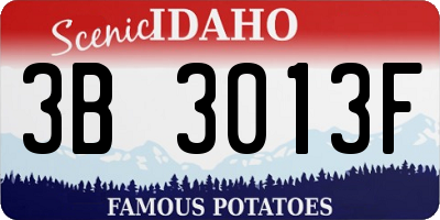 ID license plate 3B3013F