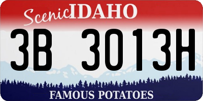 ID license plate 3B3013H