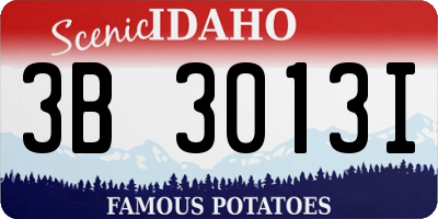 ID license plate 3B3013I