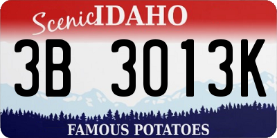 ID license plate 3B3013K