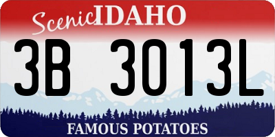 ID license plate 3B3013L