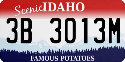 ID license plate 3B3013M