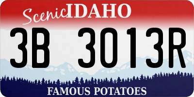 ID license plate 3B3013R
