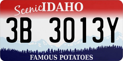 ID license plate 3B3013Y