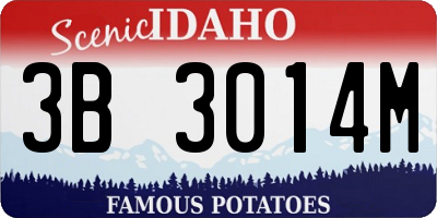 ID license plate 3B3014M