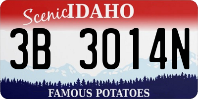 ID license plate 3B3014N