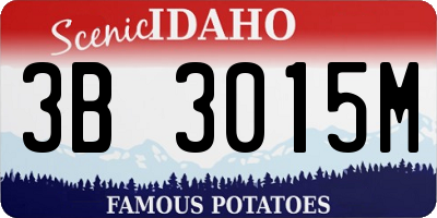 ID license plate 3B3015M