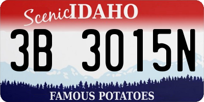ID license plate 3B3015N