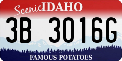 ID license plate 3B3016G