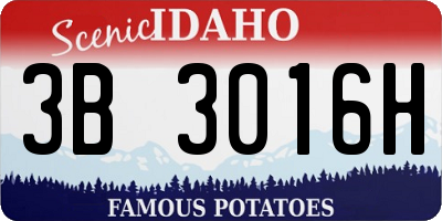 ID license plate 3B3016H
