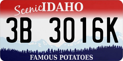 ID license plate 3B3016K