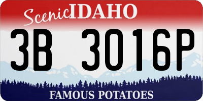 ID license plate 3B3016P