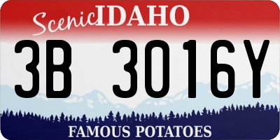 ID license plate 3B3016Y