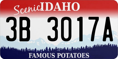 ID license plate 3B3017A