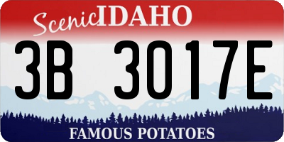 ID license plate 3B3017E