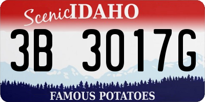 ID license plate 3B3017G