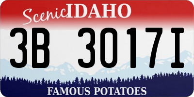 ID license plate 3B3017I