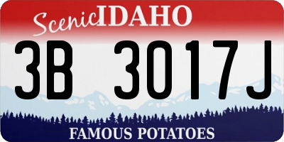 ID license plate 3B3017J