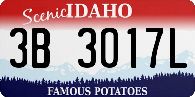 ID license plate 3B3017L
