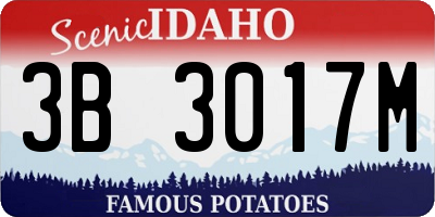 ID license plate 3B3017M