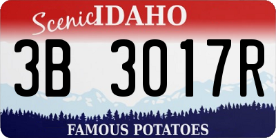 ID license plate 3B3017R