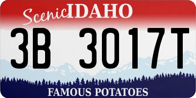 ID license plate 3B3017T