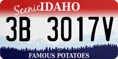 ID license plate 3B3017V