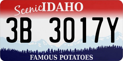 ID license plate 3B3017Y