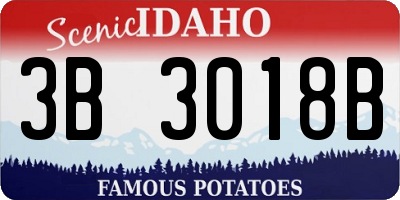 ID license plate 3B3018B