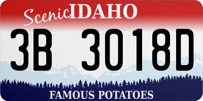 ID license plate 3B3018D