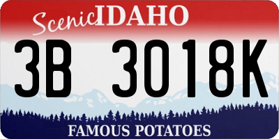 ID license plate 3B3018K