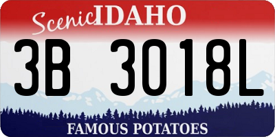 ID license plate 3B3018L