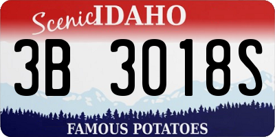 ID license plate 3B3018S